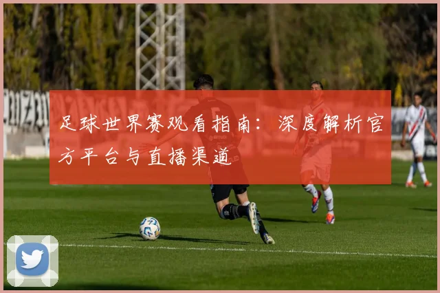 足球世界赛观看指南:深度解析官方平台与直播渠道